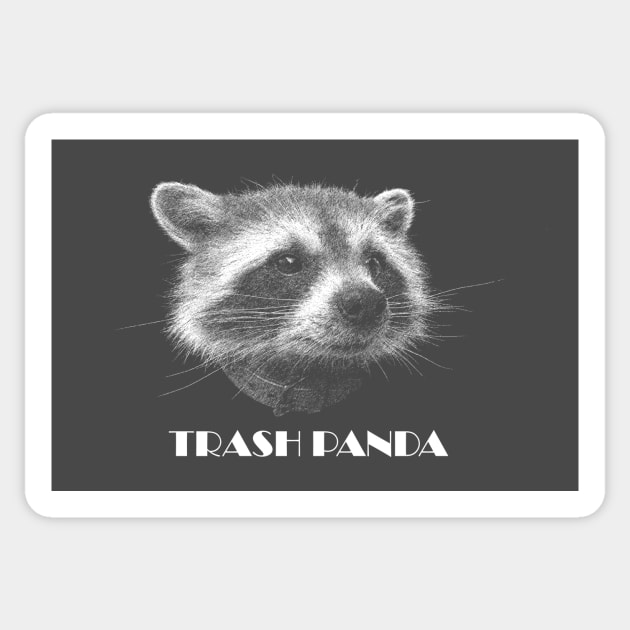 TRASH PANDA Sticker by arxitrav